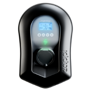 zappi in black
