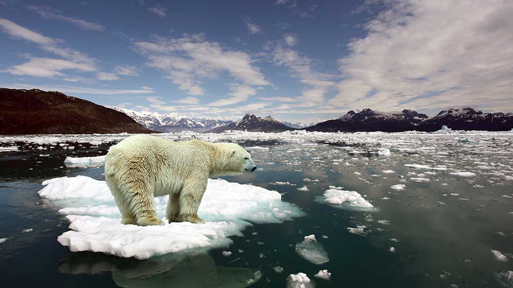 Impact du changement climatique