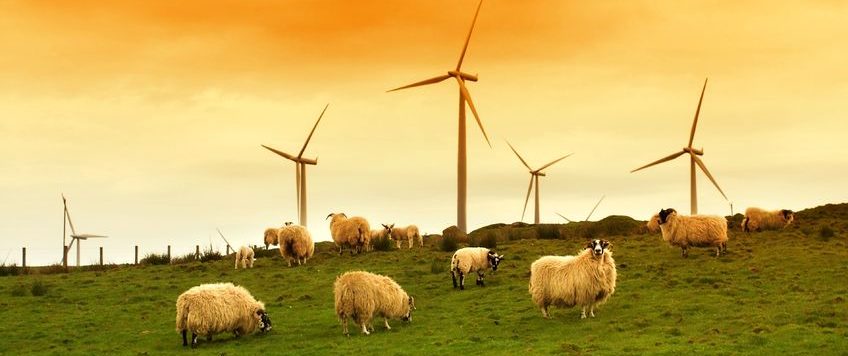 les énergies renouvelables aux Pays-Bas