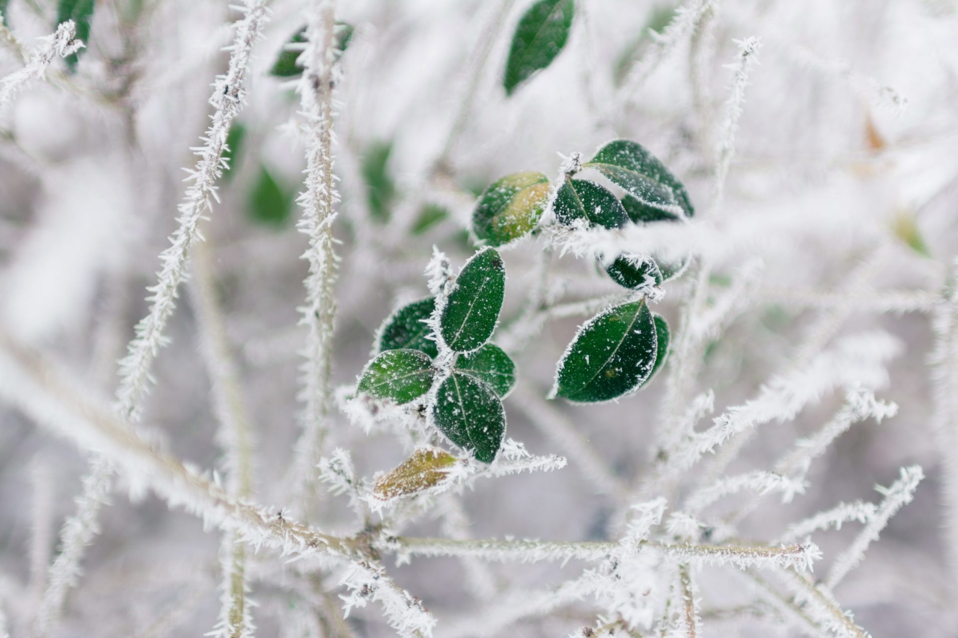 L'énergie verte en hiver