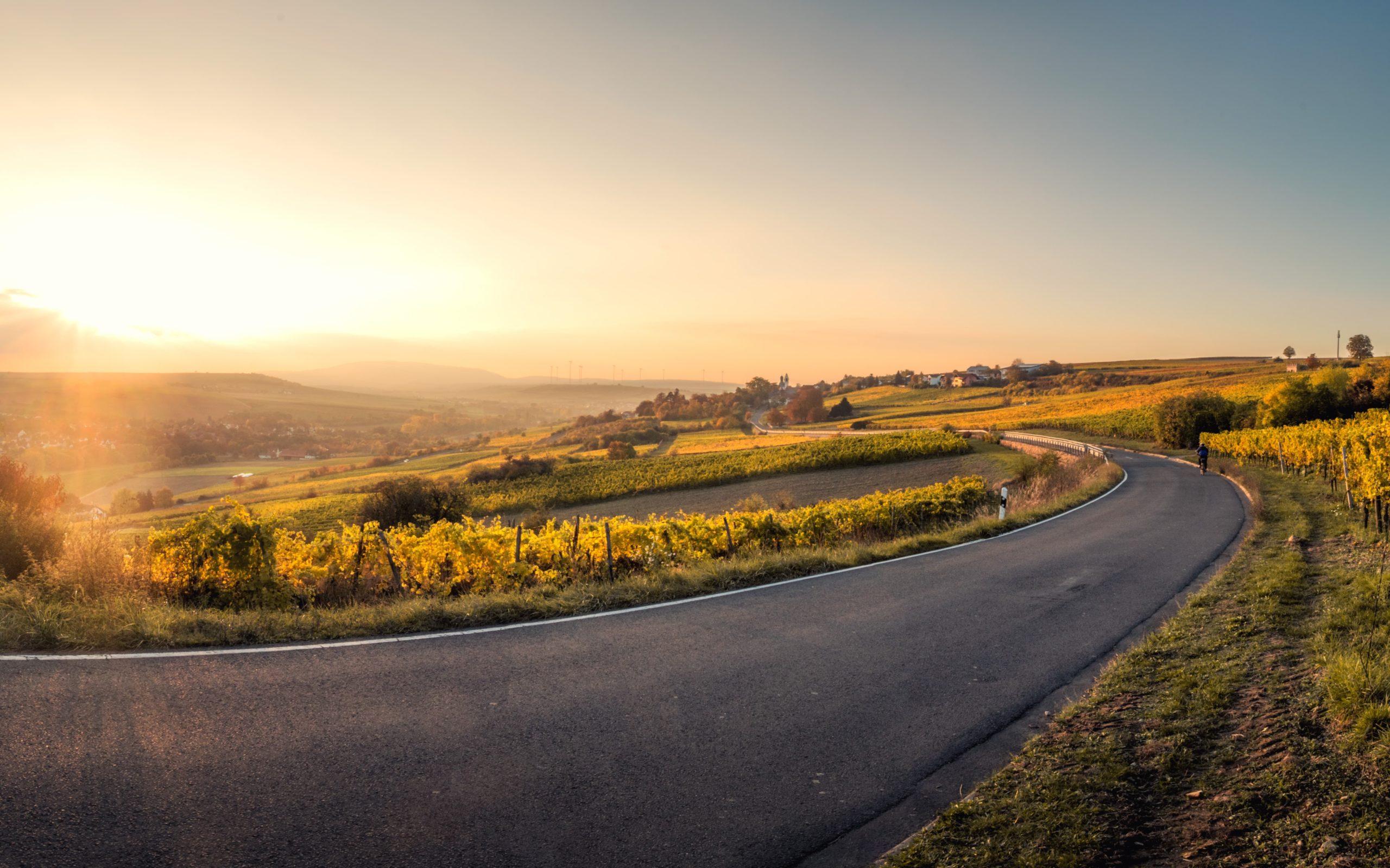 Plastic Roads: The Solution To Waste Pollution?