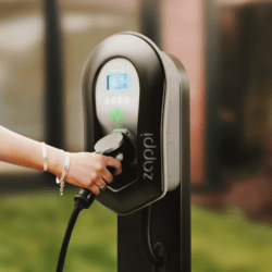 zappi pedestal - Image 2