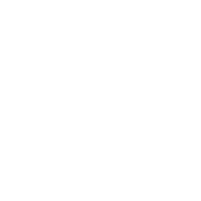 EV musings podcast logo